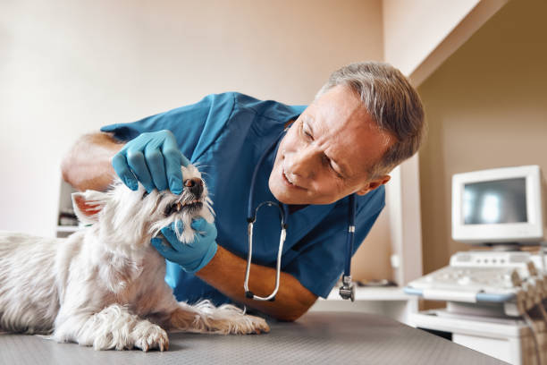 Best Emergency Tooth Extraction in Mount Olive, AL